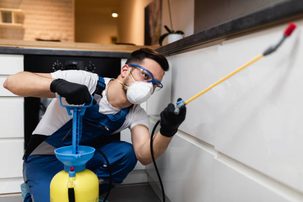 Best Pest Prevention Services  in Benwood, WV