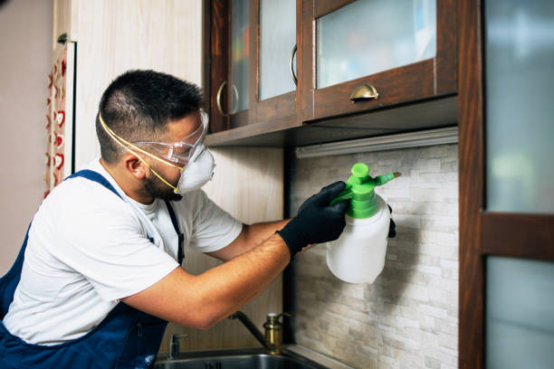 Best Affordable Pest Control Services  in Benwood, WV
