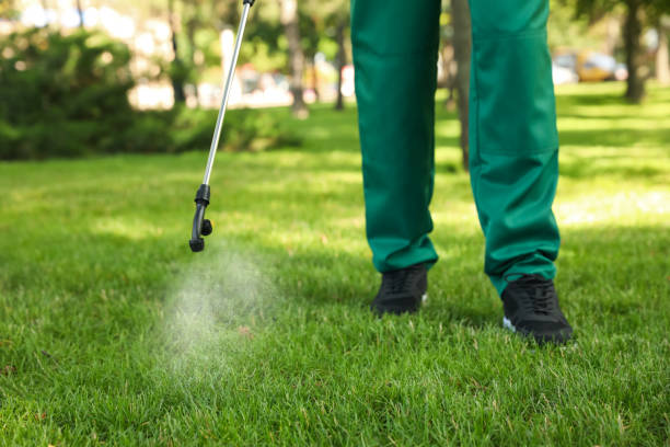 Best Best Pest Control Companies  in Benwood, WV