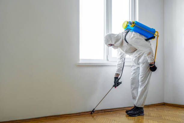 Best Cockroach Control Services  in Benwood, WV