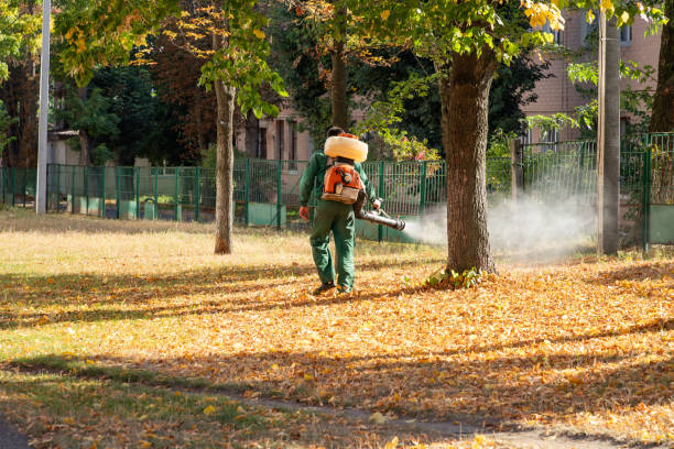 Best Mosquito Control Services  in Benwood, WV