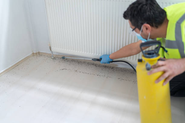 Best Pest Control for Businesses  in Benwood, WV